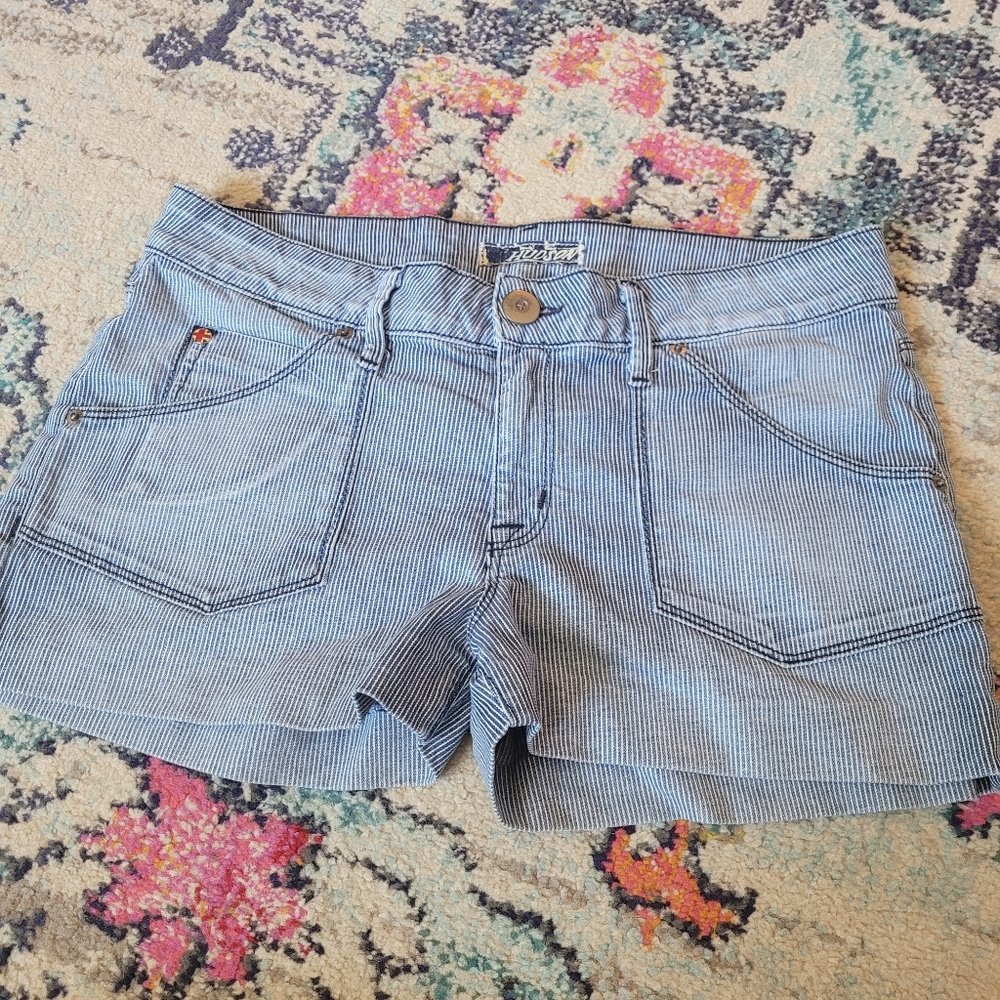 Hudson Jeans Striped Blue and White Shorts 30